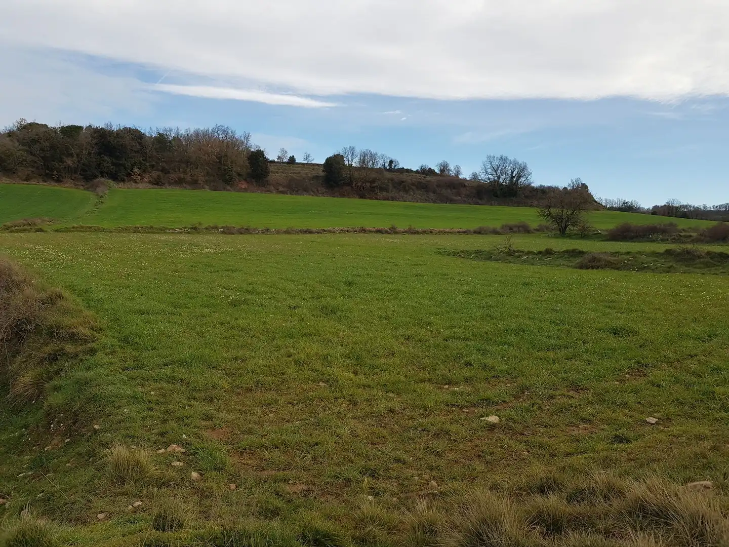 Land for sale in Moià