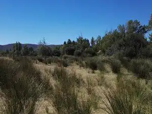 Terreno en venta en Piedrabuena