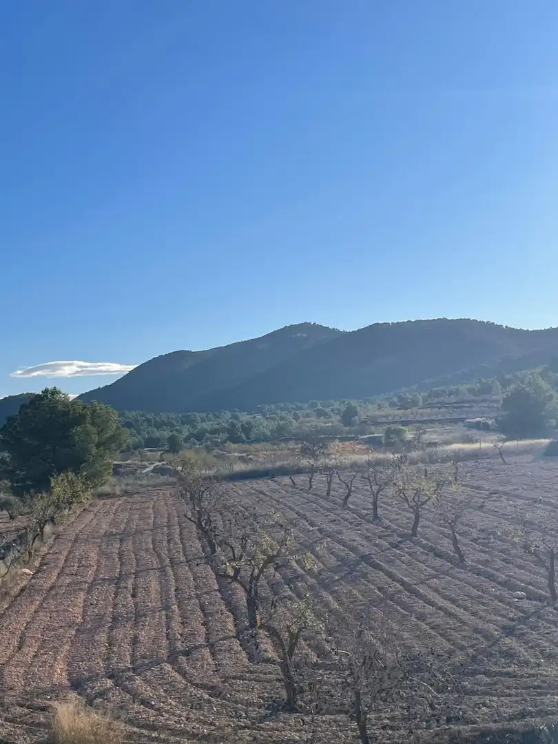 Casa en venda a El Pinós / Pinoso, imagen 12