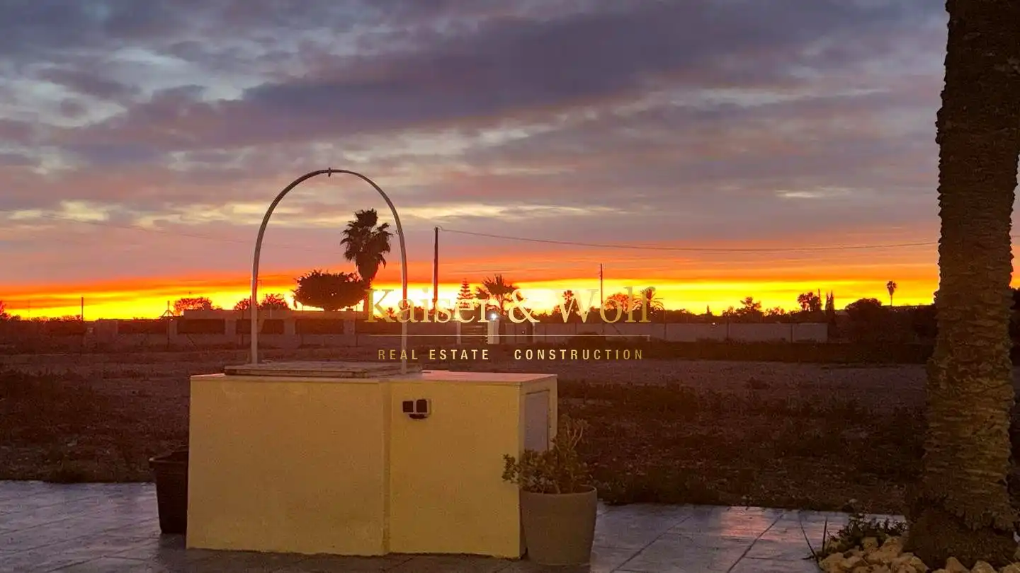 Vista exterior de Finca rústica en venta en Elche / Elx con Aire acondicionado y Jardín privado