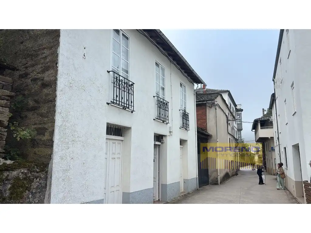 Exterior view of Houses for sale in Triacastela