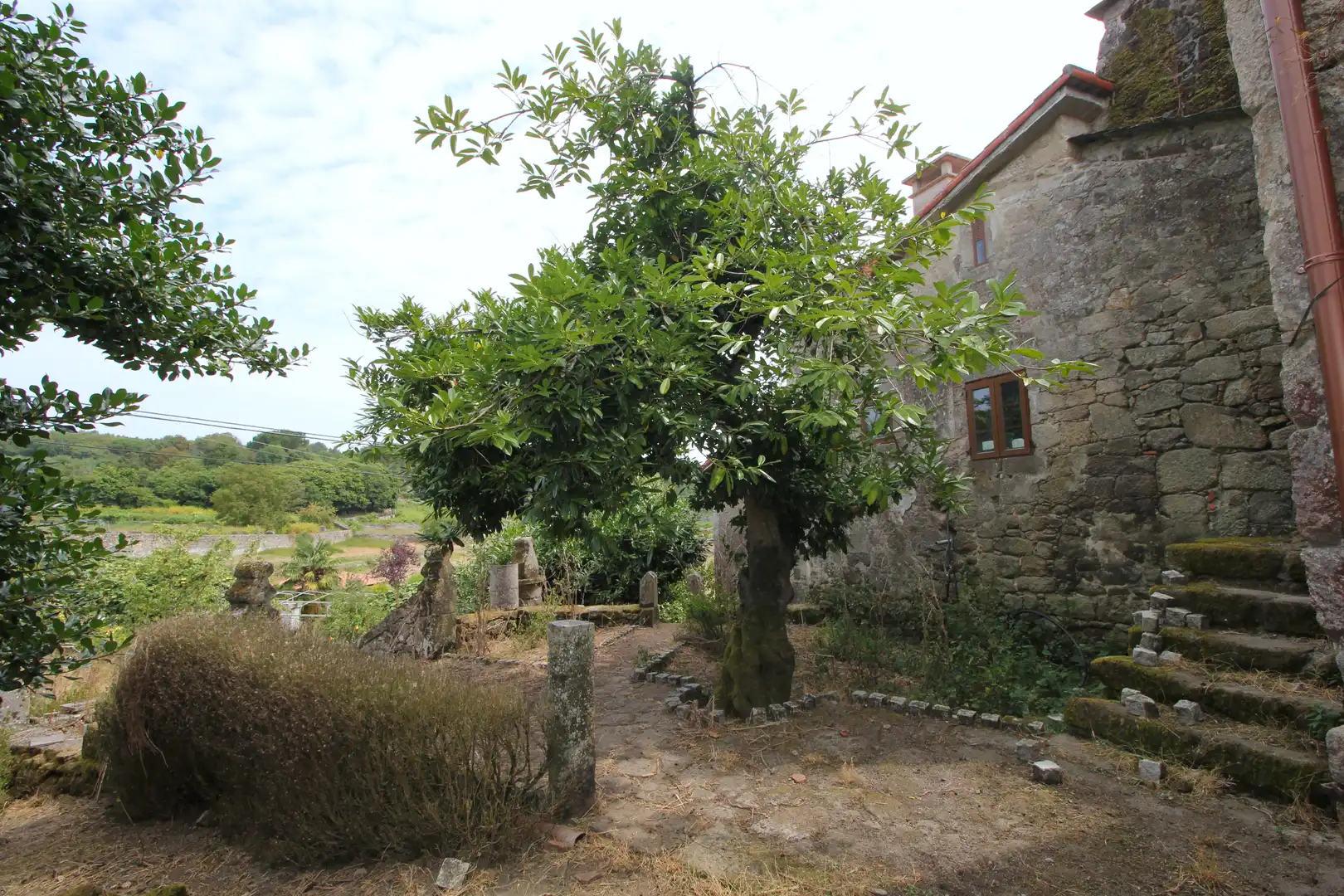 Jardín de Finca rústica en venta en Pantón
