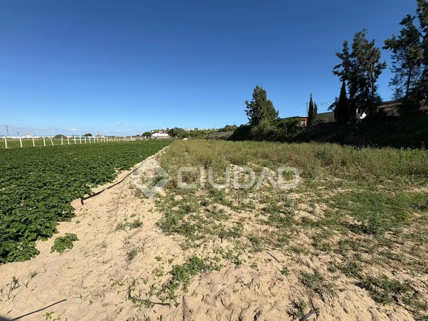 Terreno en venta en Sanlúcar de Barrameda