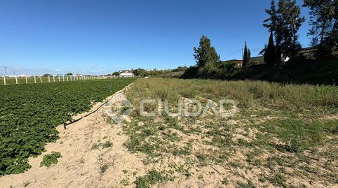 Foto 4 de Terreno en venta en Bonanza - Avda de Huelva - Barrio Andalucia, Sanlúcar de Barrameda