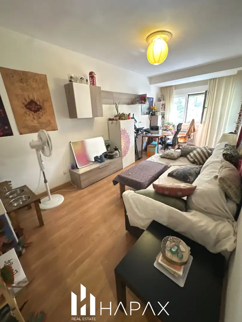 Sala d'estar de Pis en venda en Salamanca amb Calefacció, Terrassa i Balcó