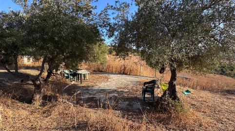 Foto 4 de Apartamento de alquiler en Martiricos - La Roca - La Rosaleda, Málaga Capital