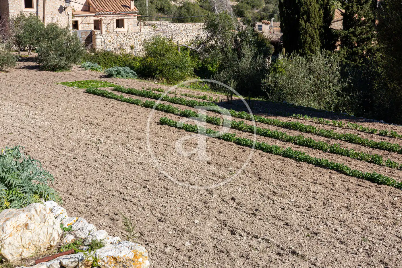 Garden of Residential for sale in Puigpunyent
