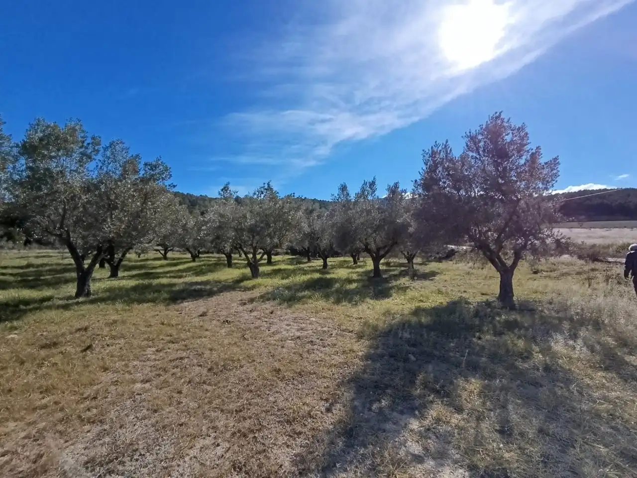Country house for sale in Batoi, imagen 19