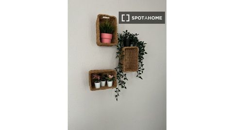 Foto 4 von Zimmer in El Botànic, Valencia Capital