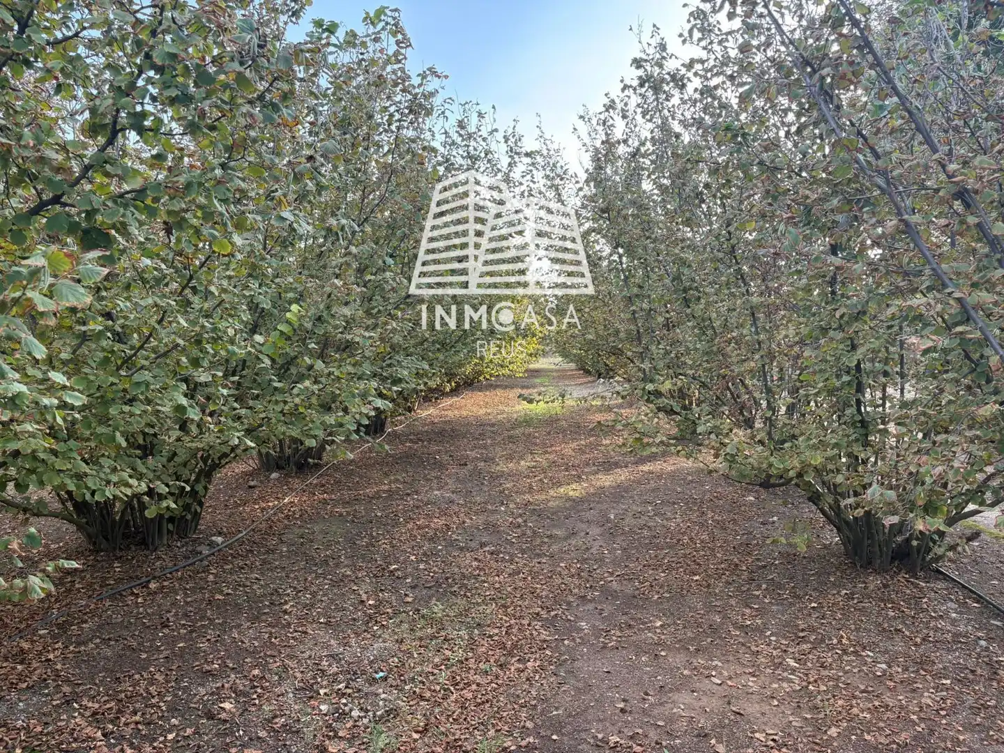 Terreno en venta en La Selva del Camp, Tarragona