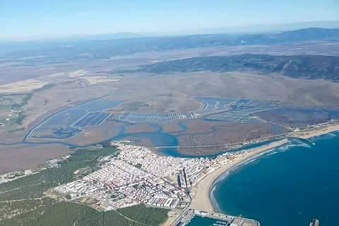 Casa-chalet en Alquiler en Calle de la Cepa en Las Lagunas - Campano