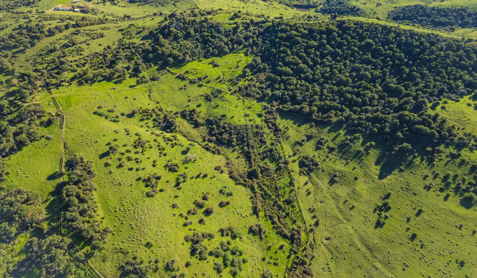 Finca rústica en venda en San Martín del Tesorillo amb Aire condicionat, Jardí privat i Terrassa