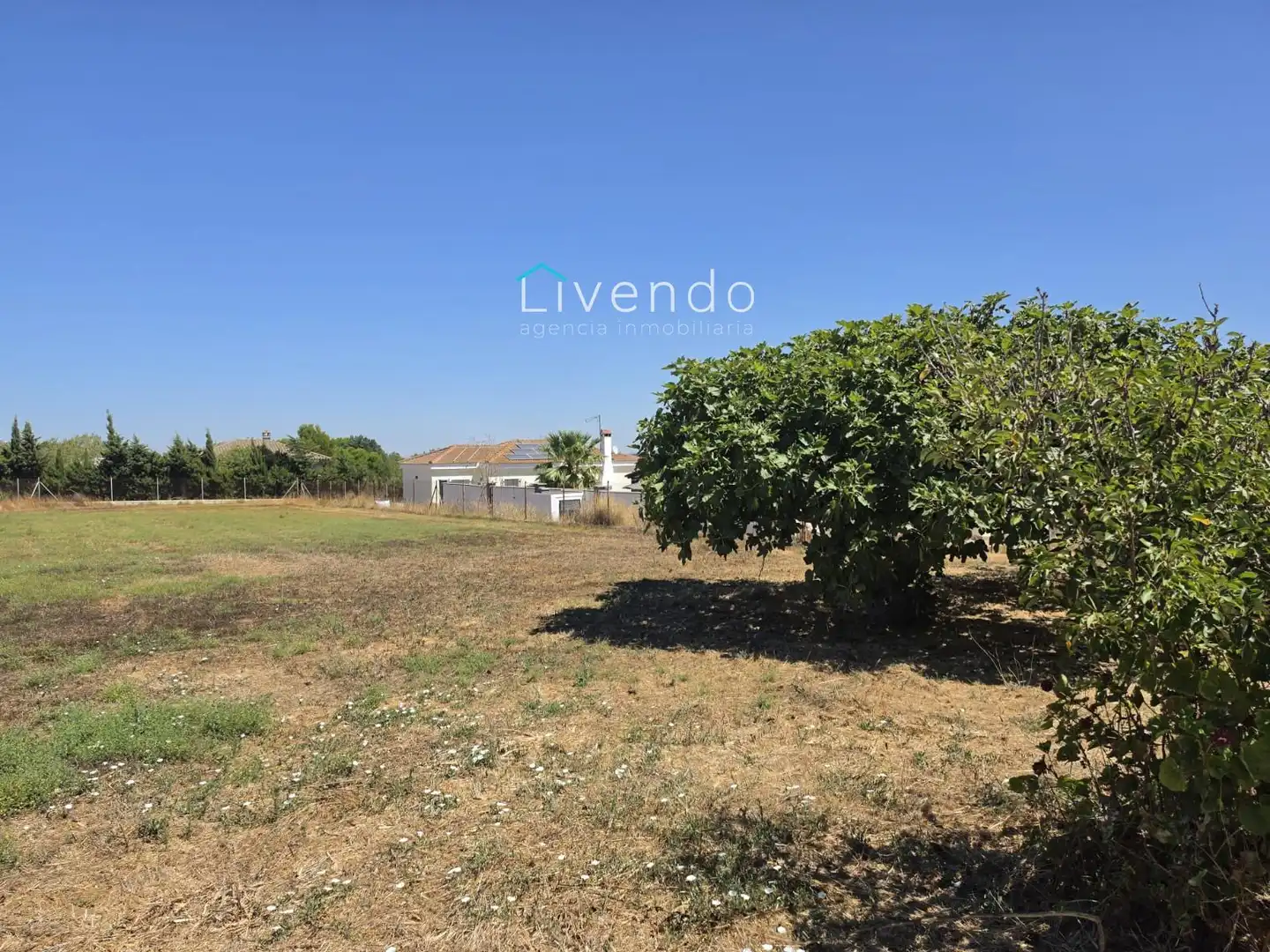 Villa mit Pool zum Verkauf in Pelagatos - Pago del Humo, imagen 30