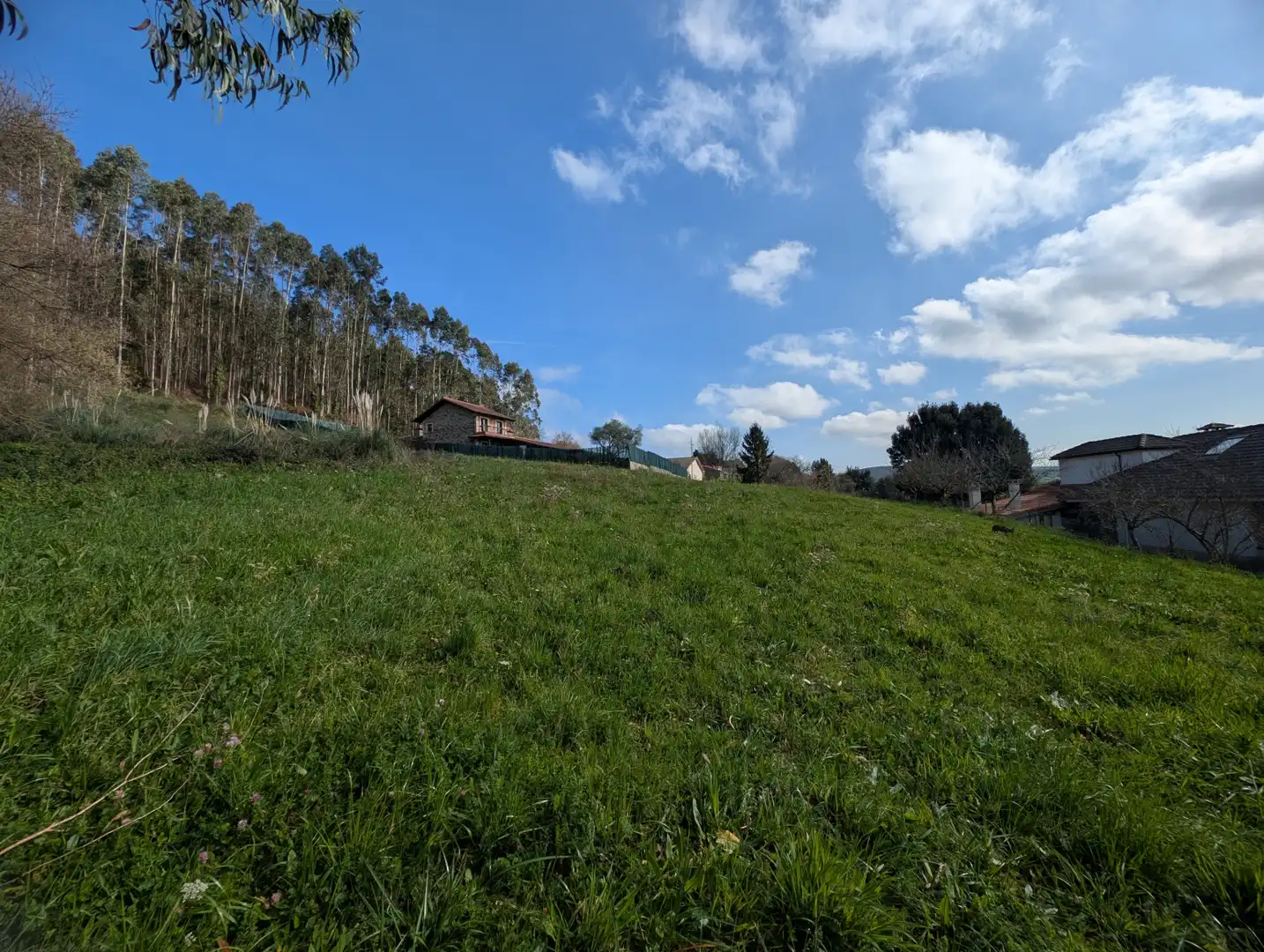 Terreni e lotti in vendita a Meruelo - Barrio El Monar 1, imagen 5