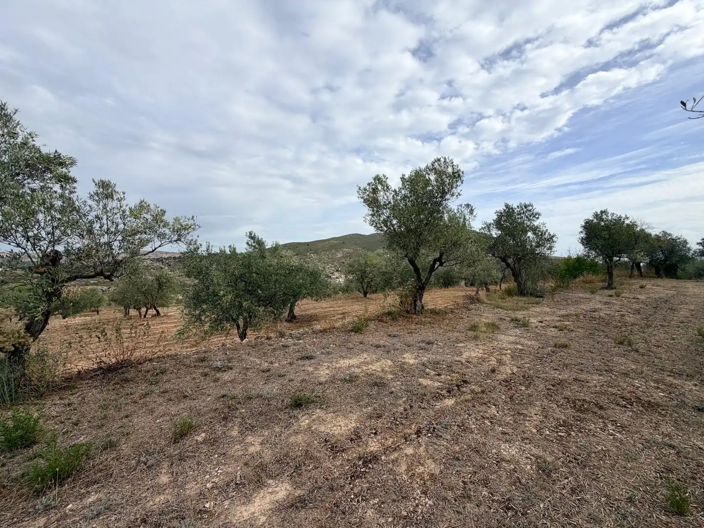Residencial en venta en Fageca, Alicante