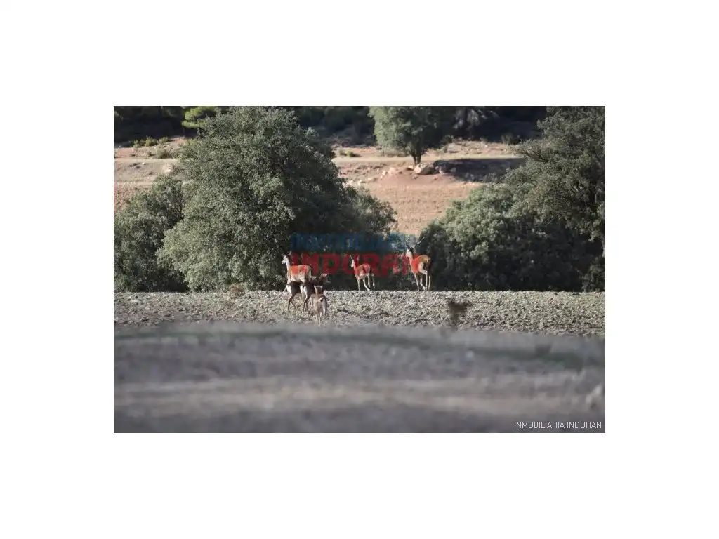 Vista exterior de Finca rústica en venda en Víllora