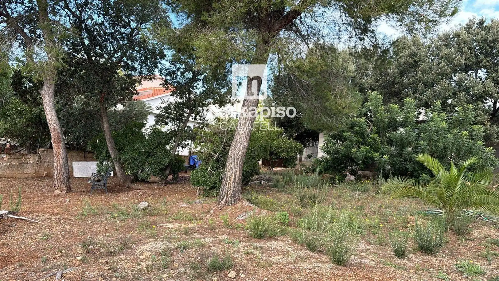 Terreny rústic en venda a Valldemar - Montmar, imagen 8
