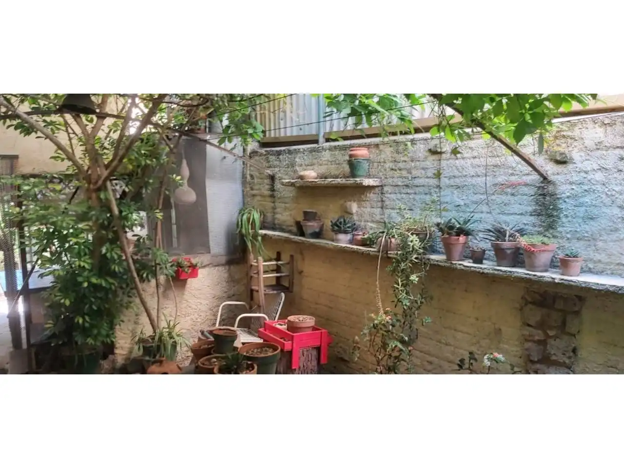 Jardí de Casa o xalet en venda en Alcover amb Jardí privat i Terrassa