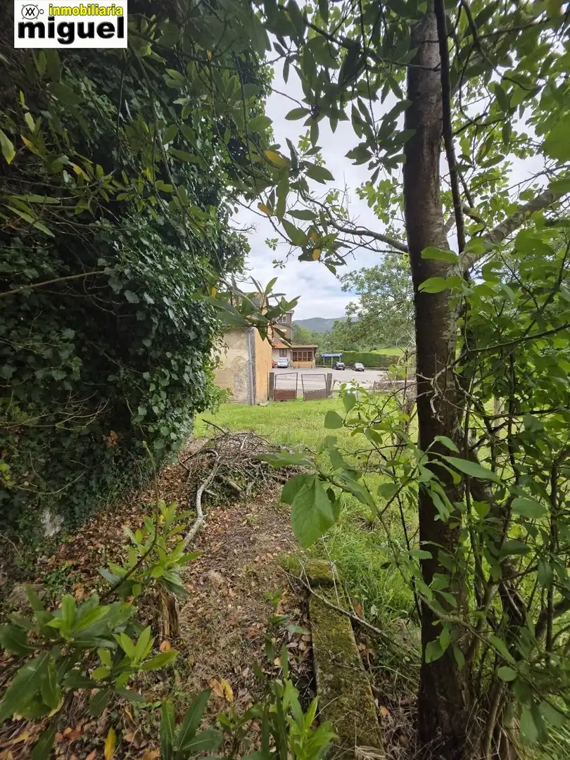 Casa amb jardí en venda a Calle El Peral, imagen 19