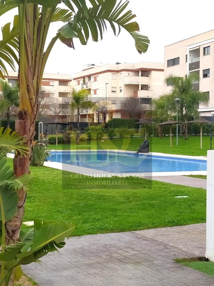 Swimming pool of Planta baja for sale in Jerez de la Frontera  with Air Conditioner, Private garden and Community pool