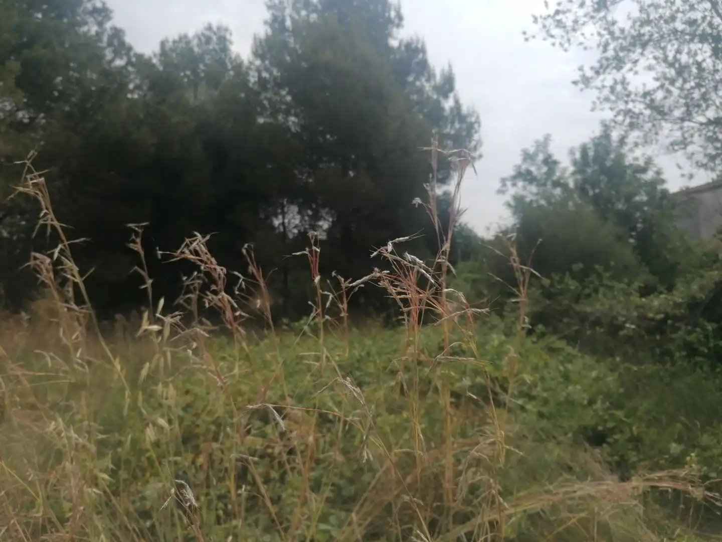 Wohnbaugrundstück zum Verkauf in Carrer Felip Pedrell 3, imagen 12