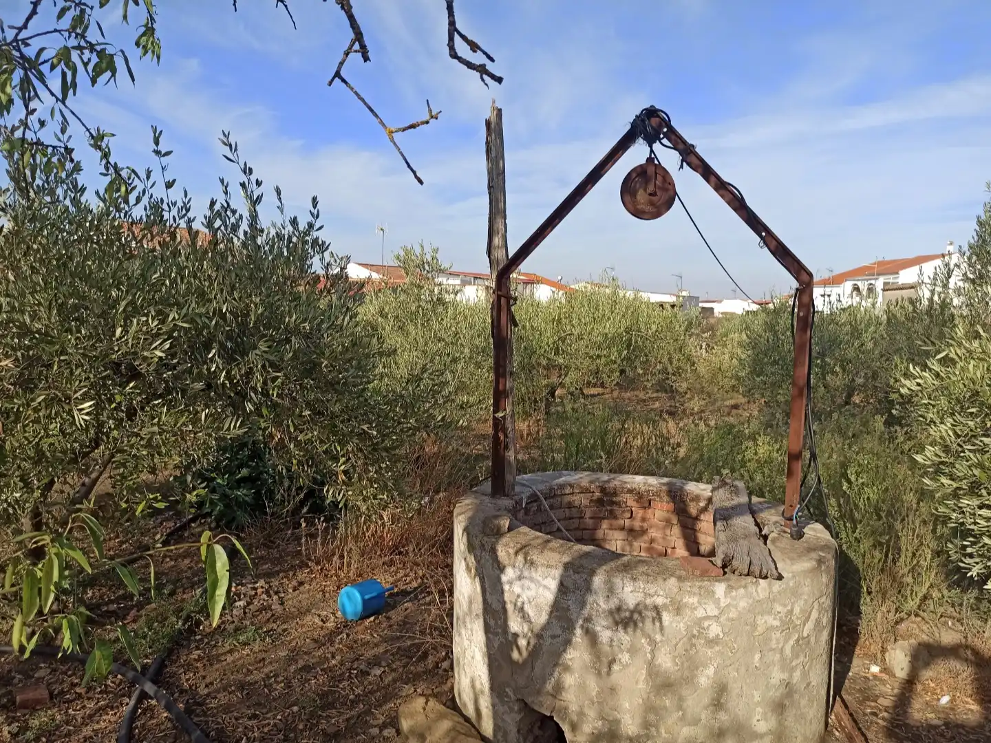 Land for sale in Granja de Torrehermosa