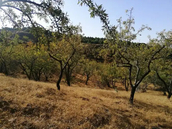 Terreni e lotti in vendita a Lecrín, imagen 15