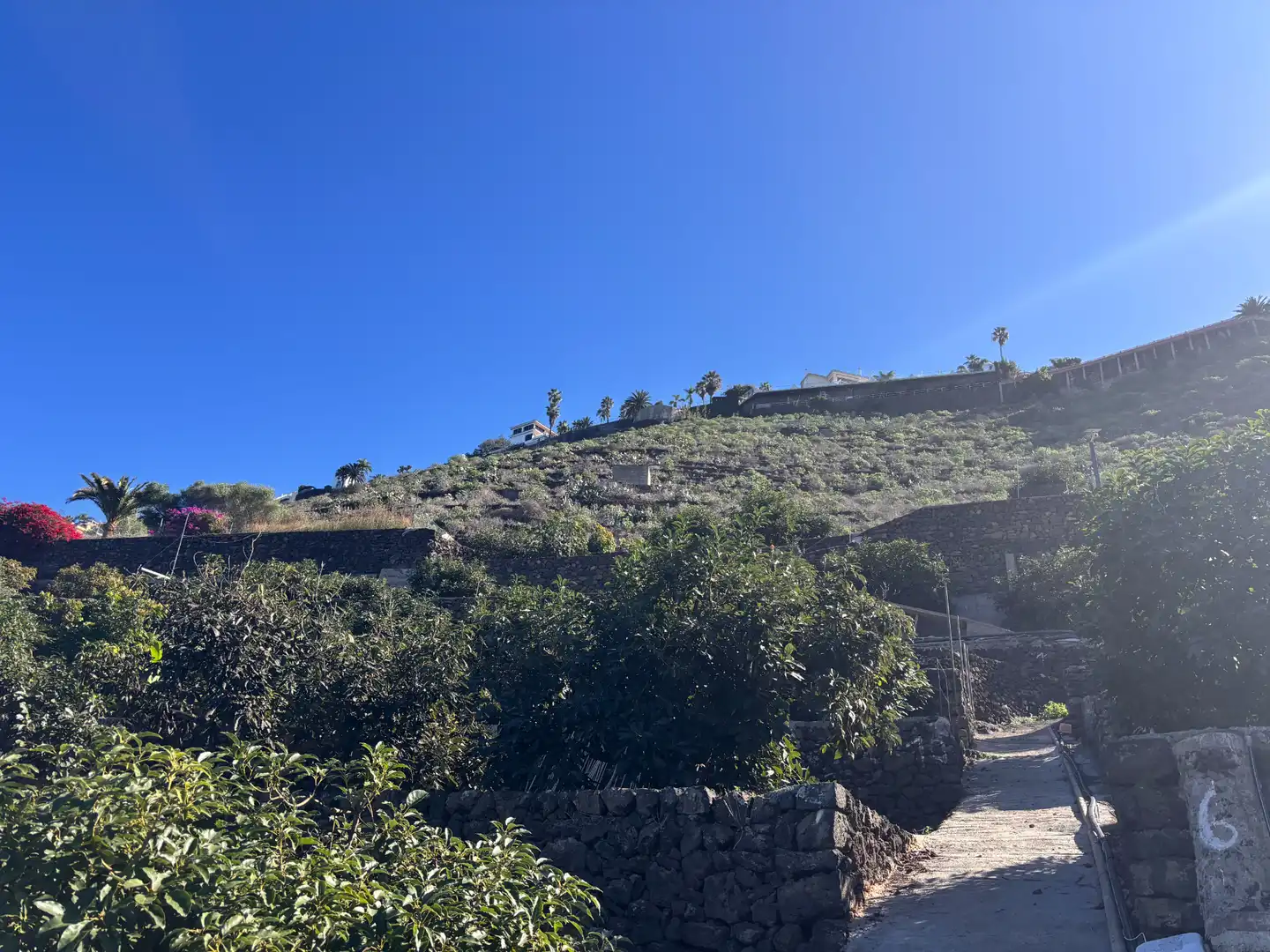 Terreno rustico in vendita a Camino de San Diego, imagen 8
