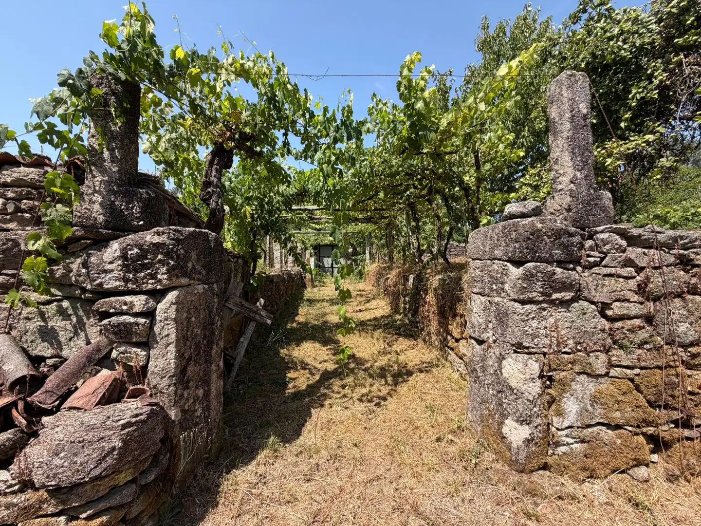 Jardí de Casa o xalet en venda en Salvaterra de Miño amb Jardí privat i Parquet