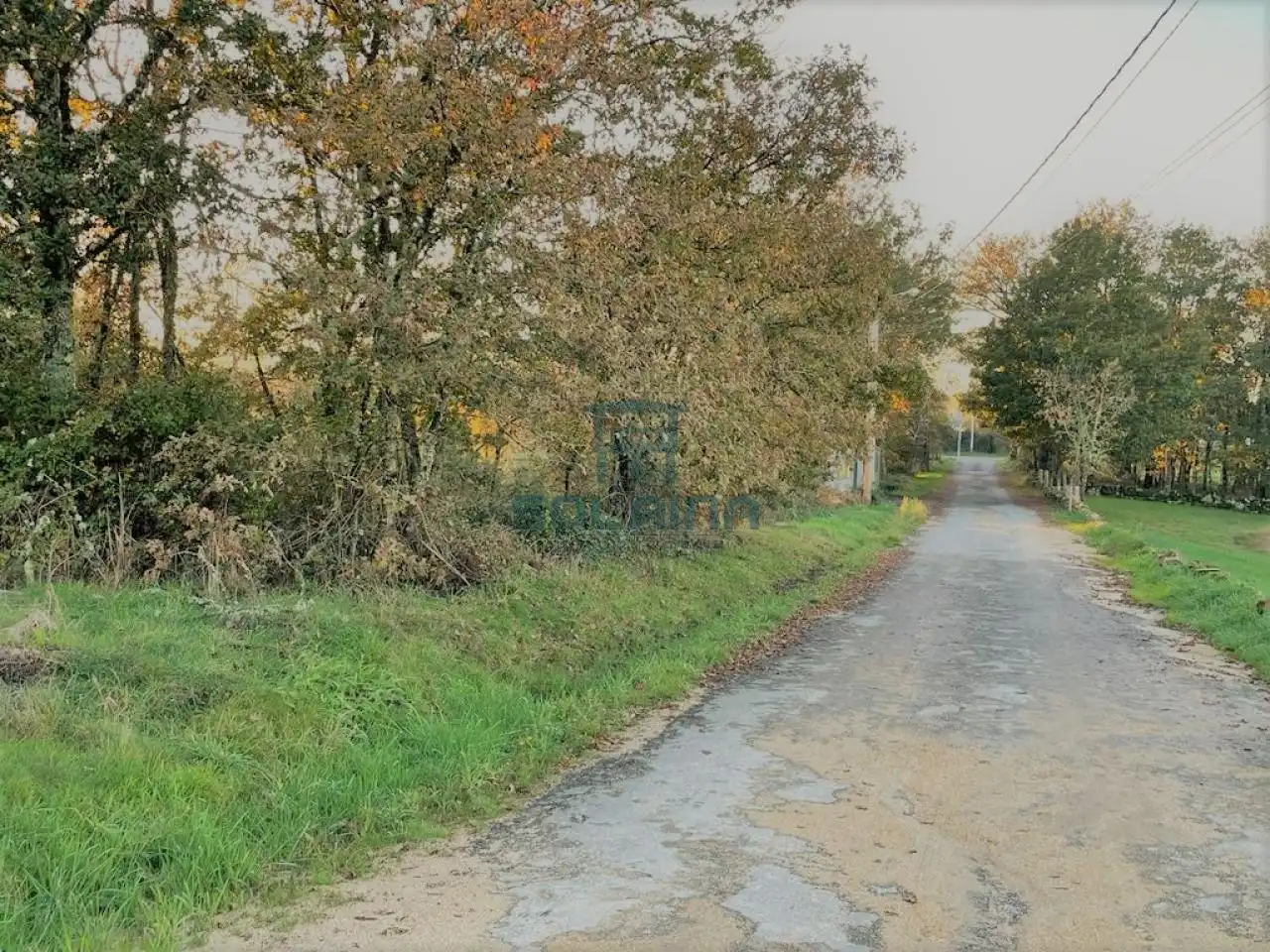 Terrenos y solares en venta en O Pereiro de Aguiar, imagen 2