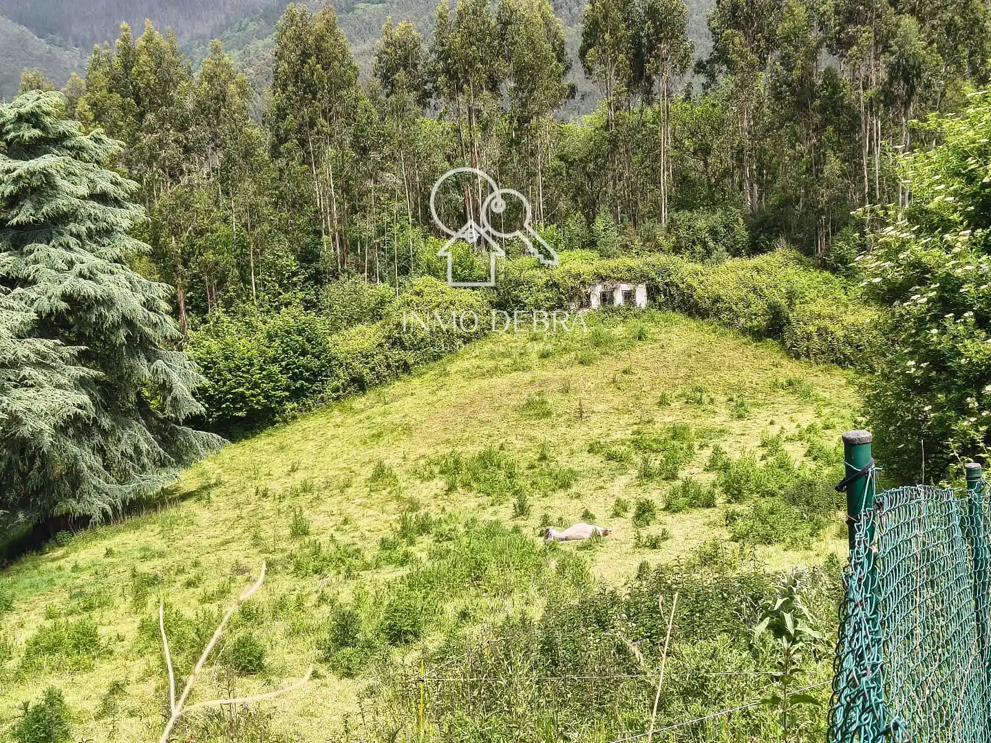 Casa o chalet en venta en Salas con Calefacción y Terraza