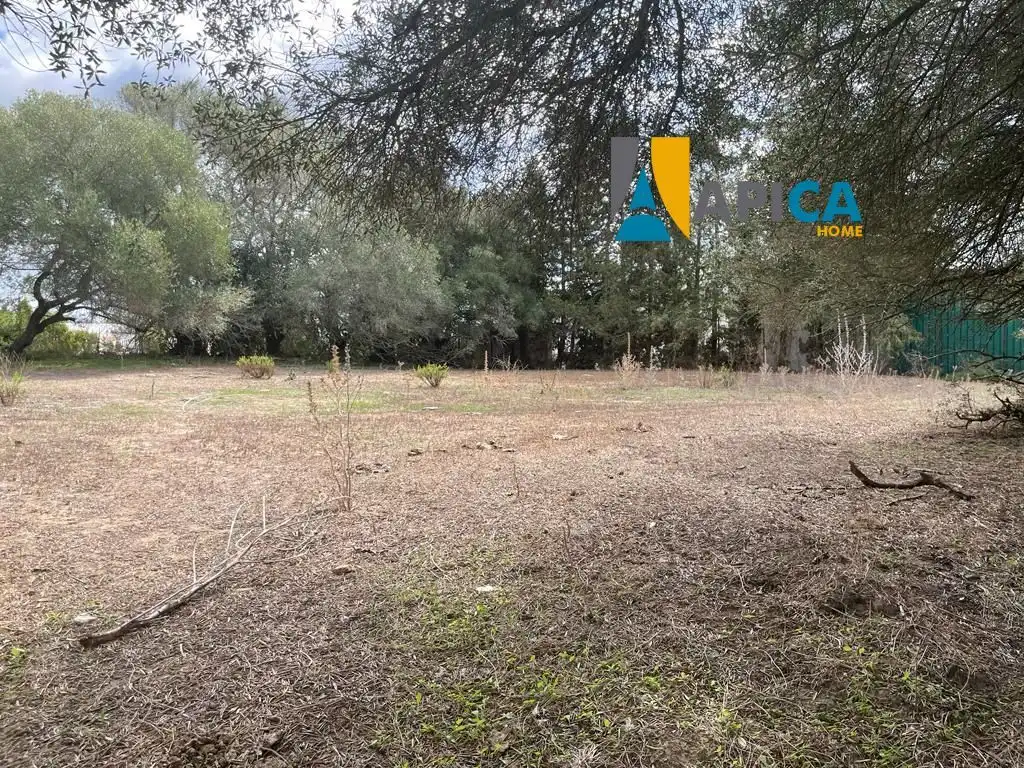 Terreni e lotti in vendita a Vejer, imagen 21