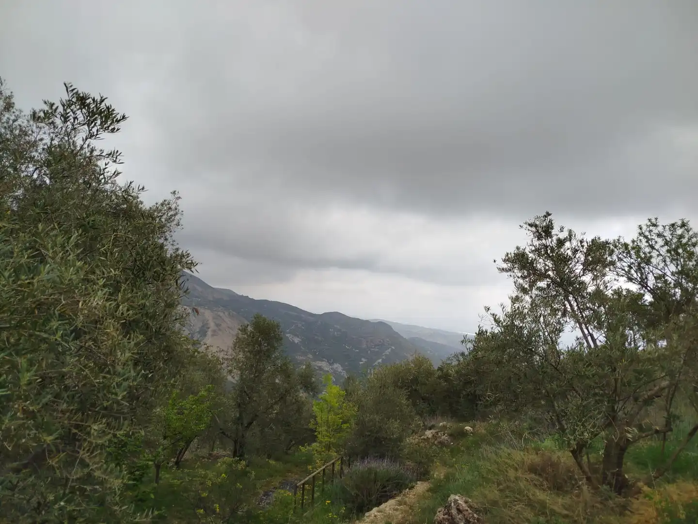 Terreni e lotti in vendita a Alpujarra de la Sierra, imagen 26
