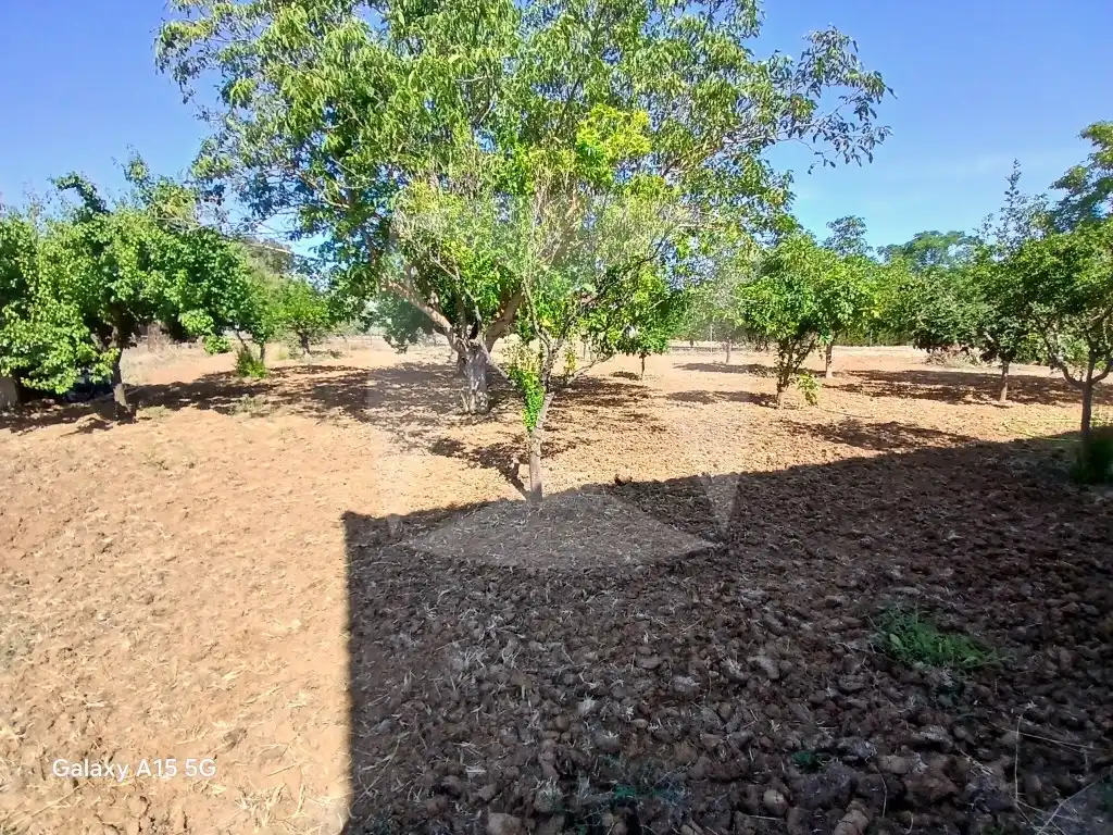 Villa avec jardin à vendre à calle del calero, imagen 28