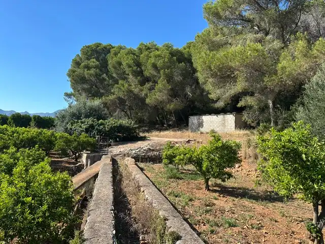 Terrain rustique à vendre à Partida Blanquisal, imagen 11