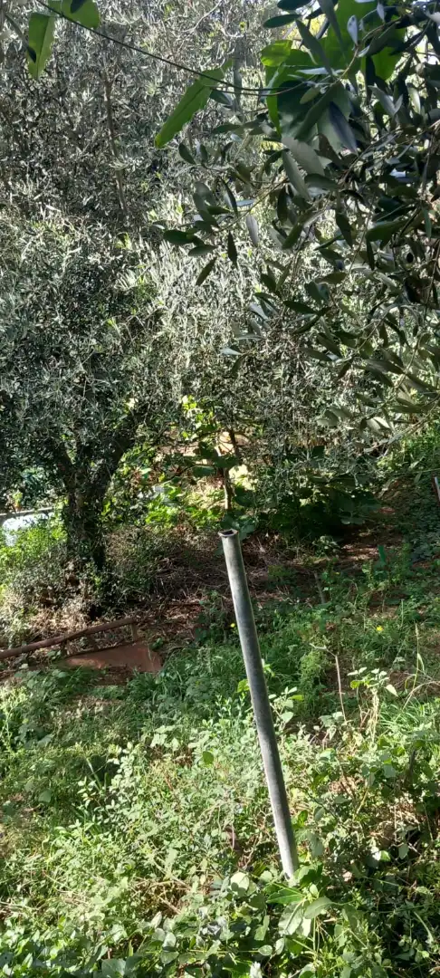Terreny residencial en venda a Castellnou - Can Mir - Can Solà, imagen 2