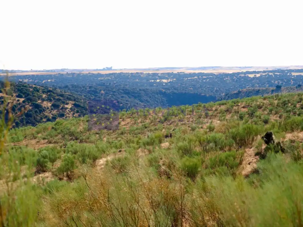 Casa o xalet en venda a Mejostilla