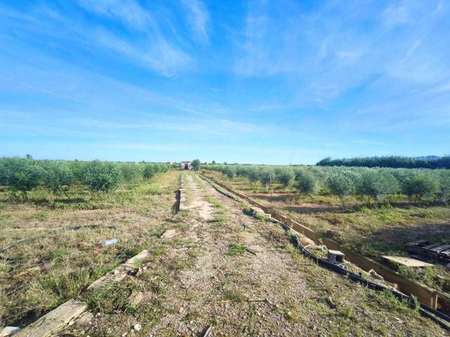 Terreno residencial en Venta en Fortaleny