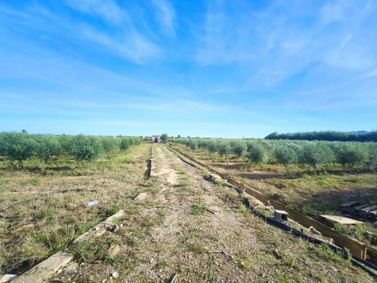 Lands and plots for sale in Fortaleny