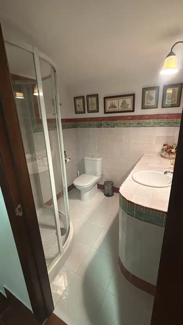 Chalet con piscina en alquiler en Avenida de la Arruzafa, imagen 41