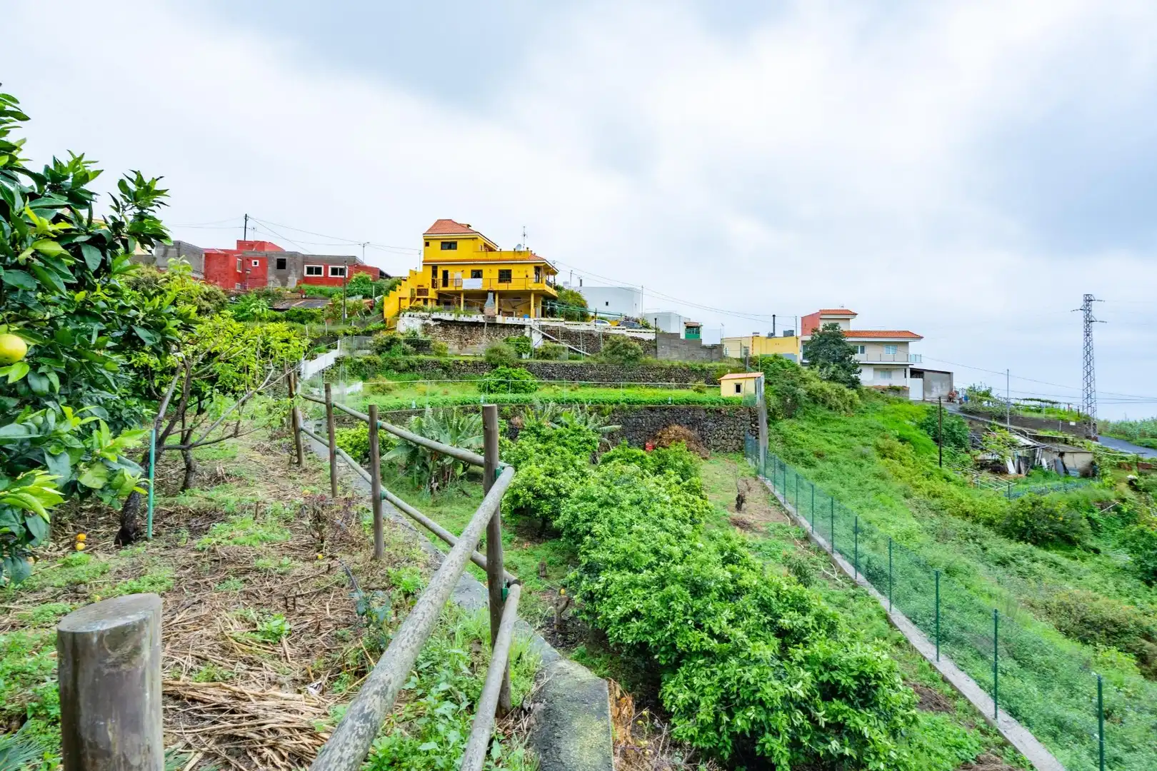 Finca rústica en venda en Icod de los Vinos amb Terrassa