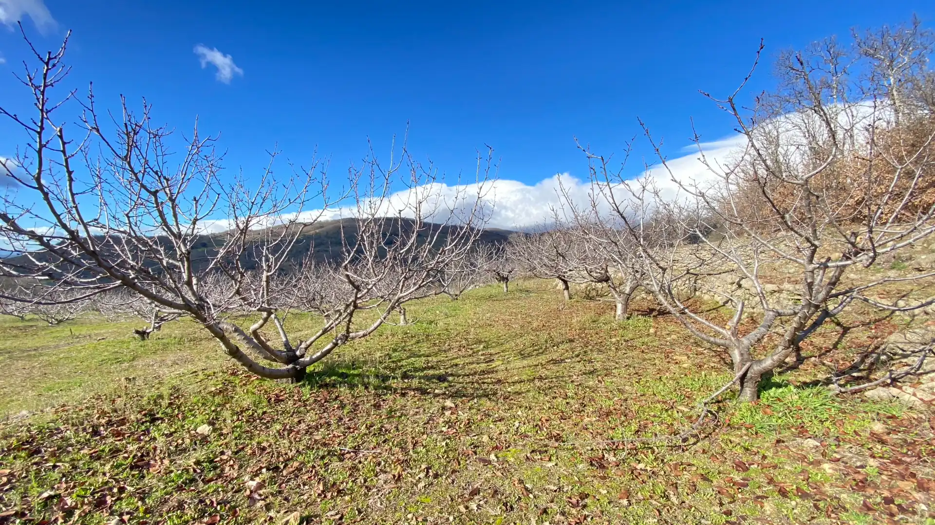 Terreni e lotti in vendita a Pasarón de la Vera, imagen 7