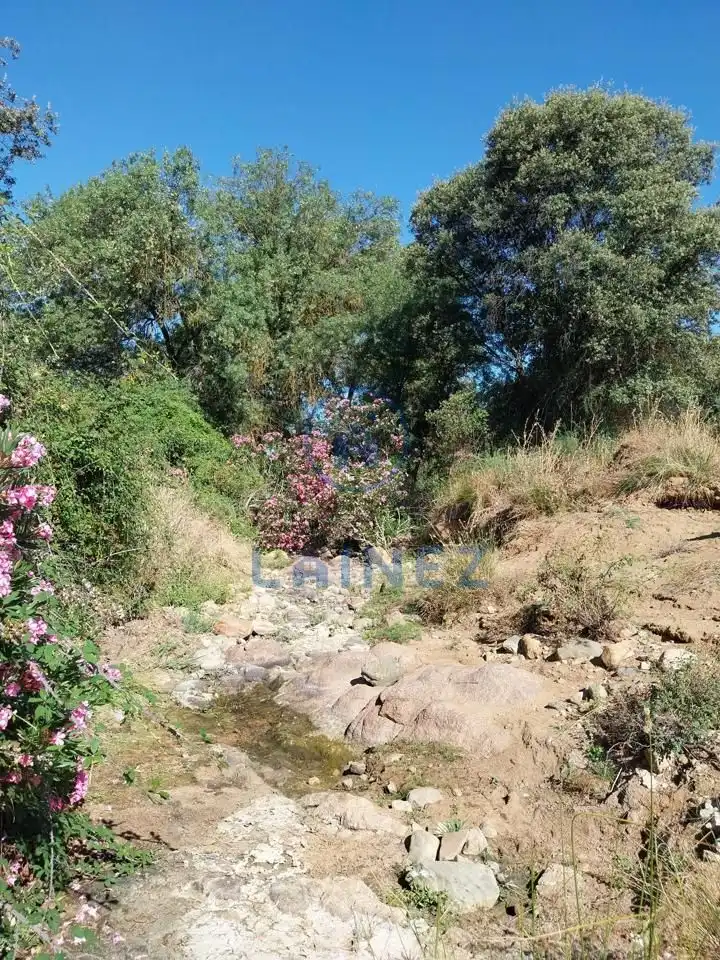 Lands and plots for sale in Fuente Obejuna, imagen 14