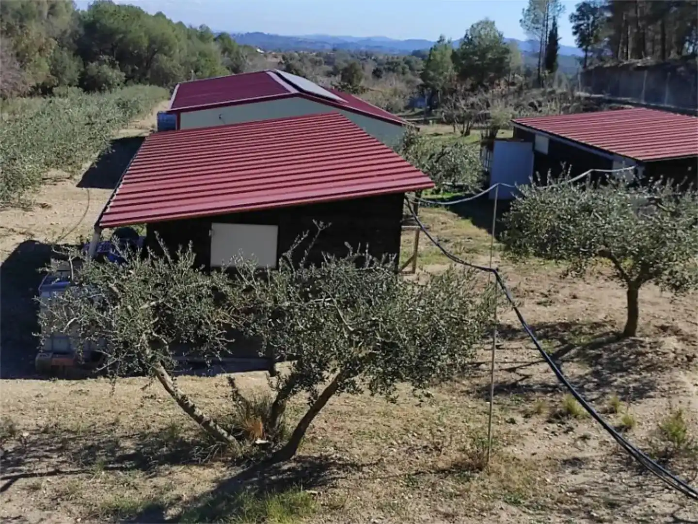 Vista exterior de Finca rústica en venda en Sant Pere de Riudebitlles amb Aire condicionat, Jardí privat i Piscina