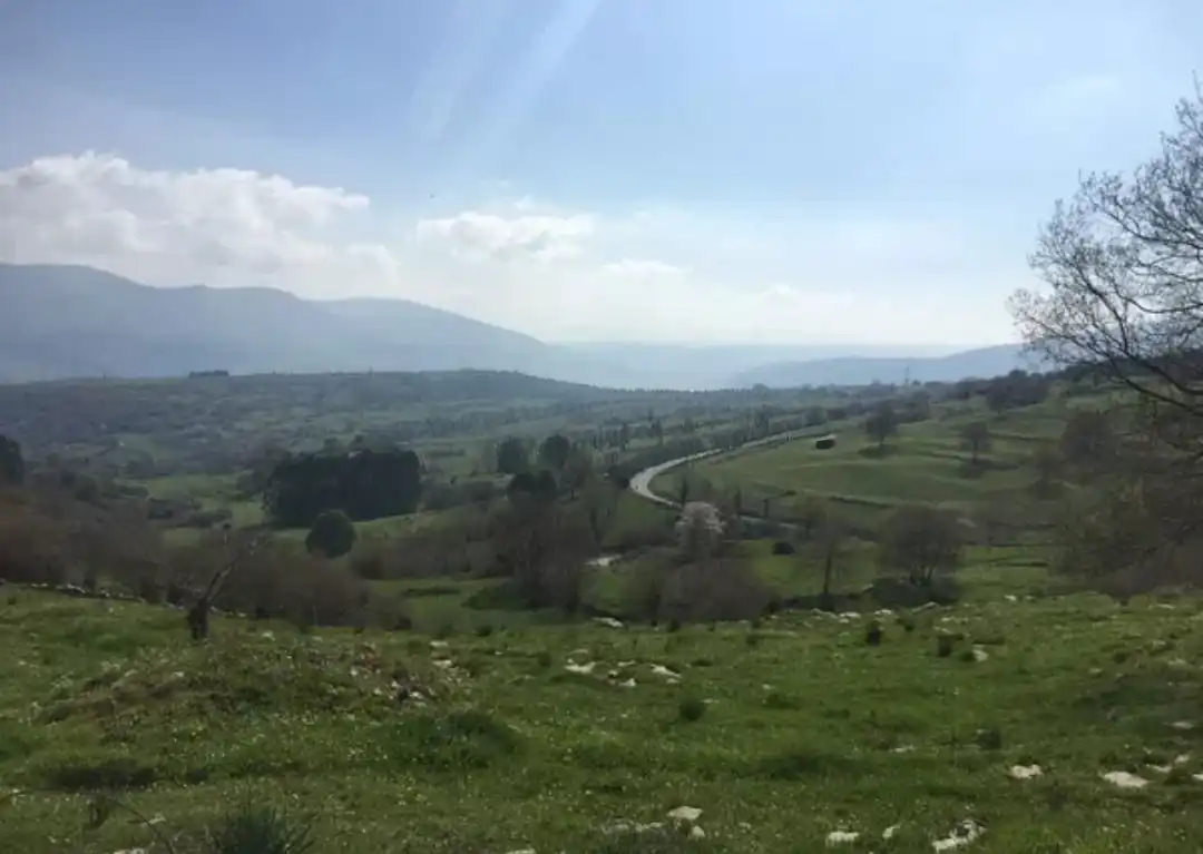 Terreno rustico in vendita a Corvera de Toranzo, imagen 9