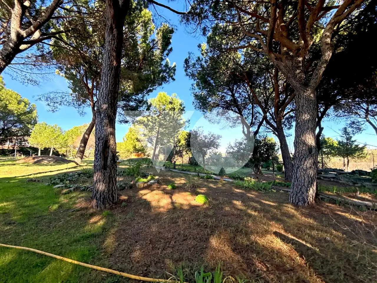Jardín de Casa o chalet en venta en Ribatejada con Jardín privado, Terraza y Piscina