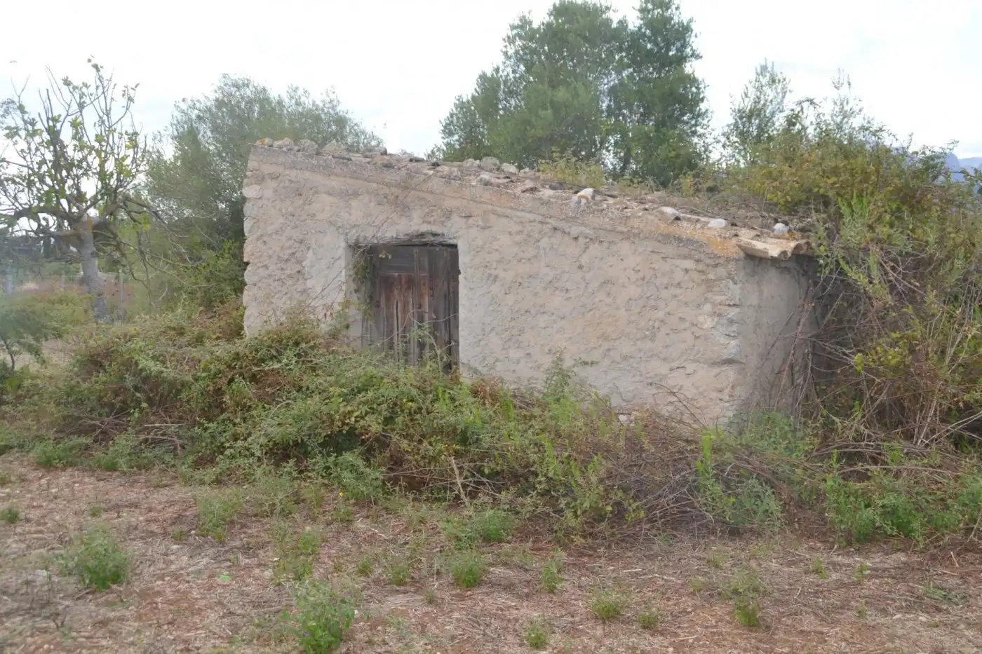 Casa rustica in vendita a Campanet, imagen 4