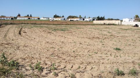 PARCELA INDIVISA DE  3.000M2 EN PAGO DE HUMO, imatge 3