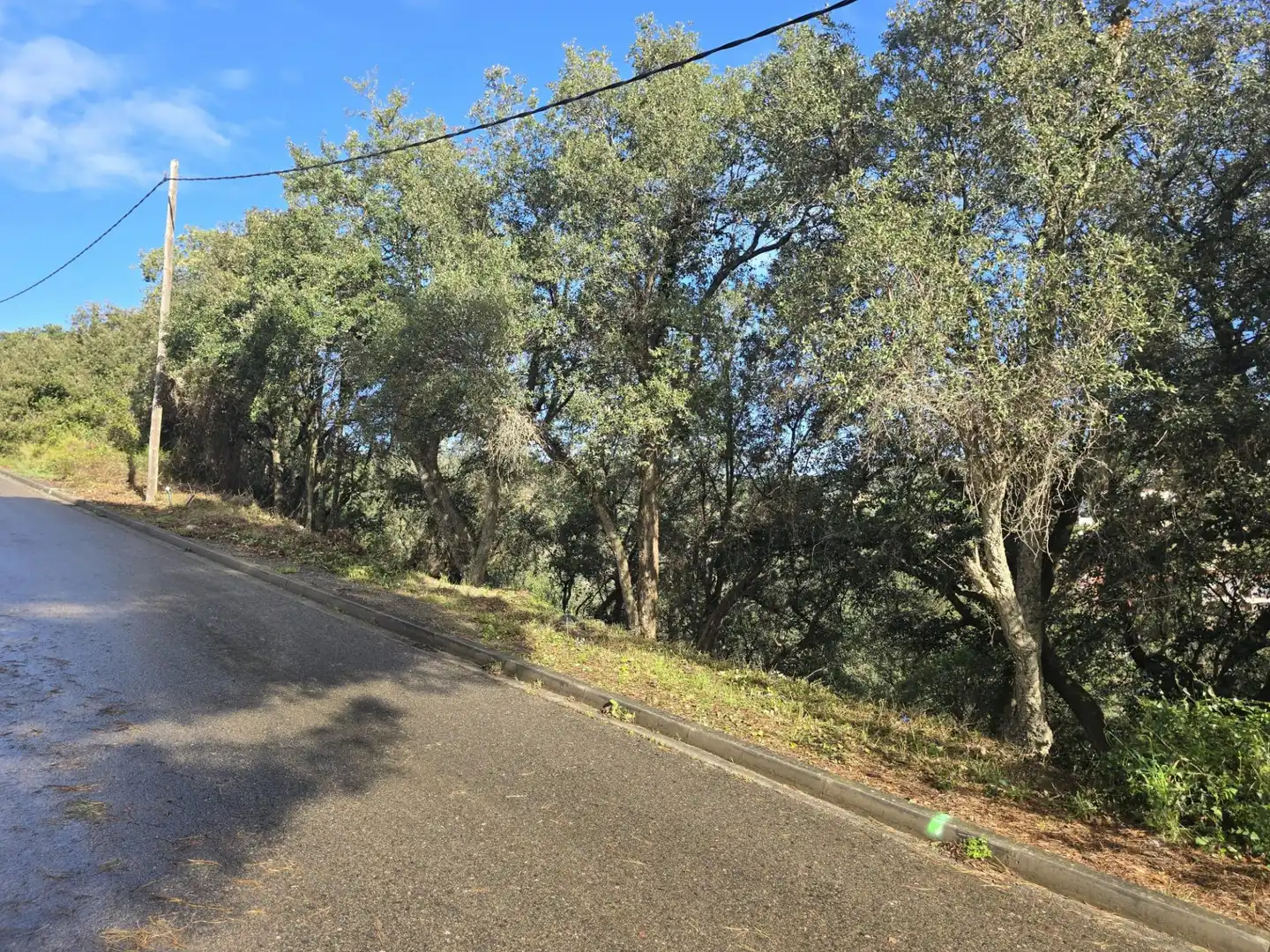 Residential land for sale in del Garrofer 7, imagen 5