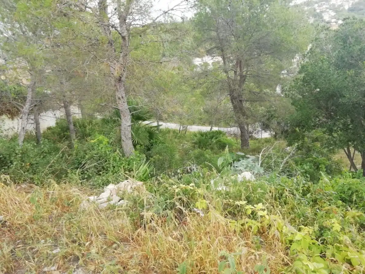 Terreny residencial en venda a Calle MOZART, imagen 4